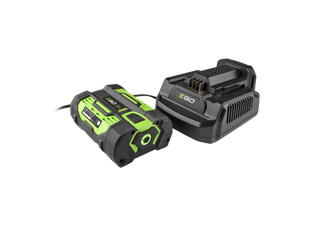CH2100E Standardladdare 56V 210W 4